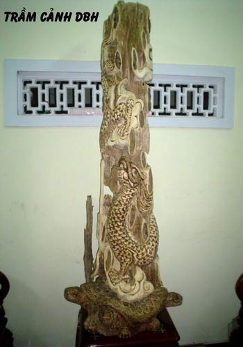DBH-H004